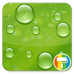 fresh green android application logo